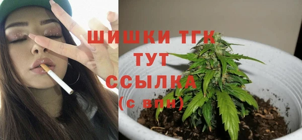 стаф Богородск