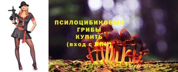 ECSTASY Богородицк