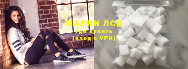 ECSTASY Богородицк
