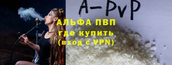стаф Богородск