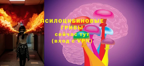 стаф Богородск