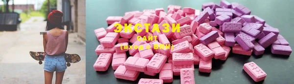 ECSTASY Богородицк