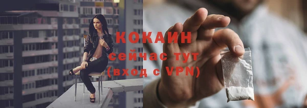 ECSTASY Богородицк