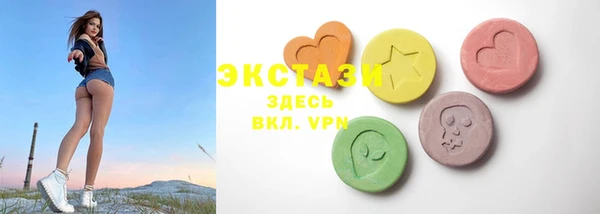 ECSTASY Богородицк
