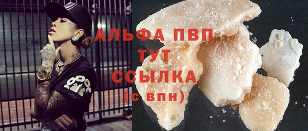 ECSTASY Богородицк