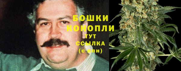ECSTASY Богородицк